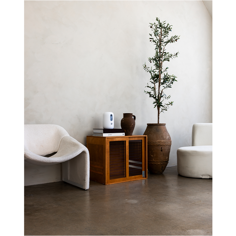 Wooden Dog Crates vs. Wire Crates: What Your Living Room Already Knows