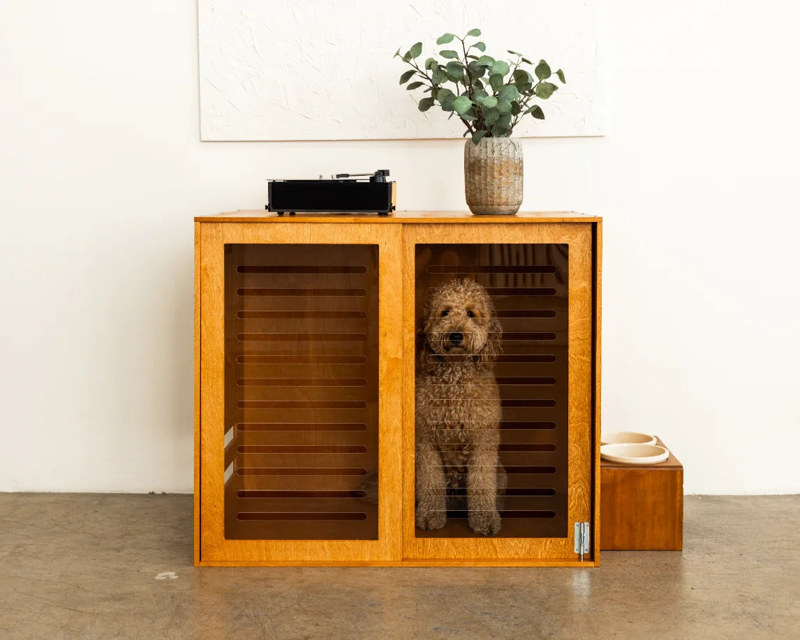 Opal, resident tester, 77 Bark Ave — at home in Santa Monica