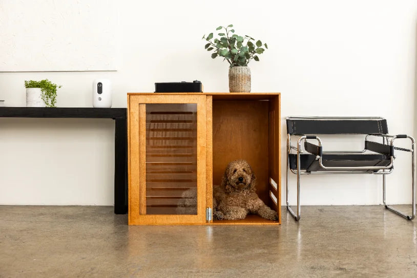 the Pad occupied, dog settled inside